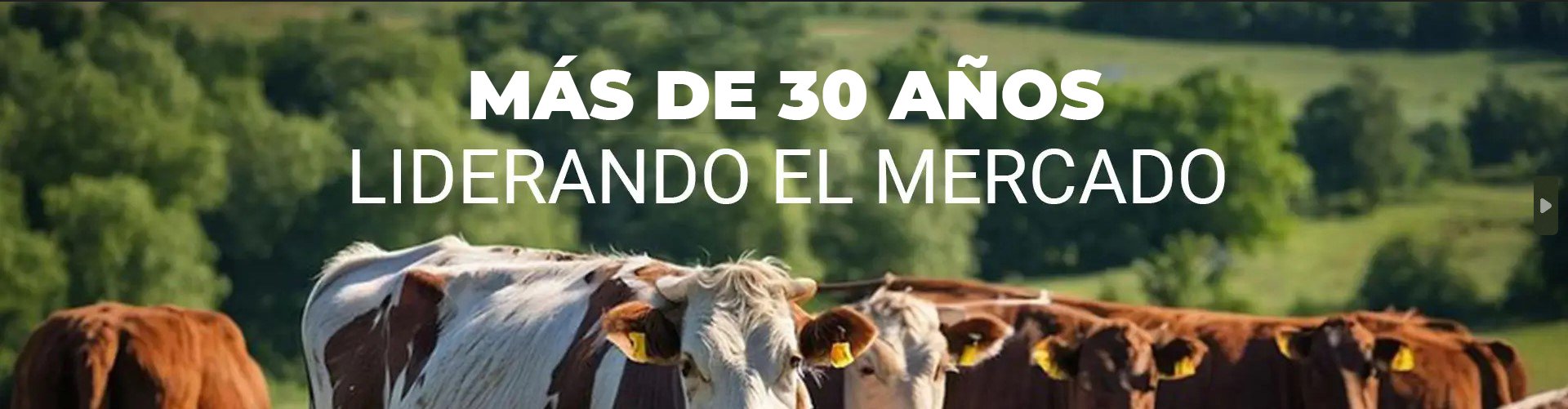 Captura de pantalla 2026-05-11 152350